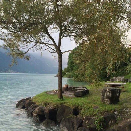 sha7171's profile picture. Dr Electronics ENGR