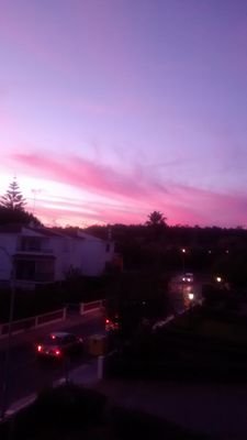 tejadantonia's profile picture. 