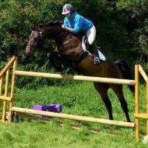 MegggyMOO15's profile picture. Do what makes you happy :)