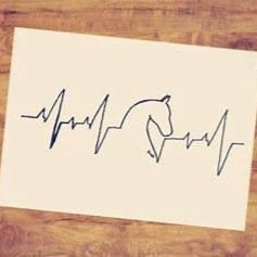 vinurcoaching's profile picture. Personal growth & social training through bonding with horses.