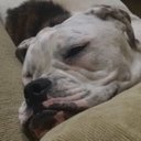 Paul Beesley - @PaulBeesley12 - Twitter