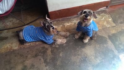 excyreyesj's profile picture. Sonrie