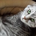 Laurie Kern - @KernNicolaslily - Twitter