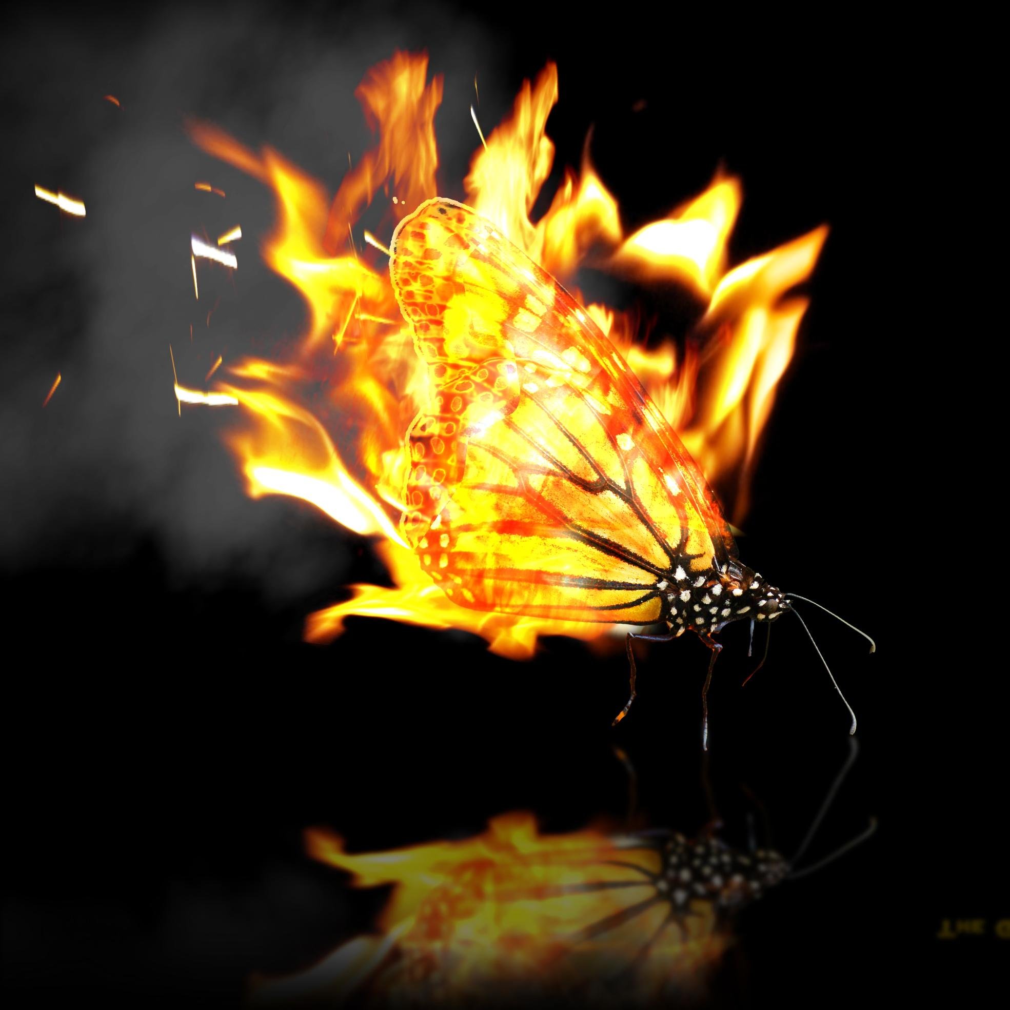 NetworkGenesis Profile Picture