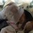 twitter profile