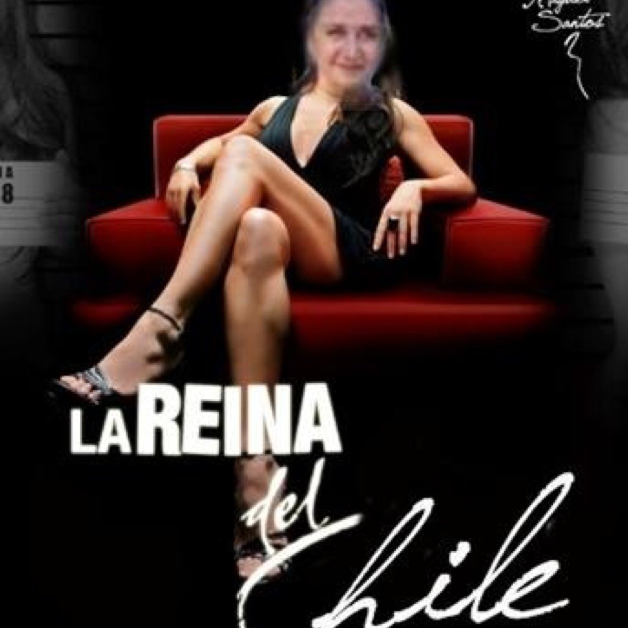 #ladychiles
Estoy muy enogada. (PARODIA)