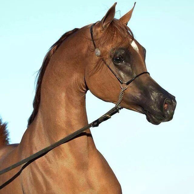 545_123's profile picture. 