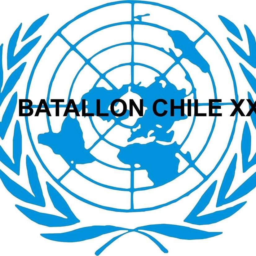 batallonchilexx's profile picture. 