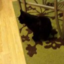 CHERYL Needham - @cherylneedham65 - Twitter