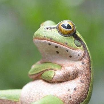 just1idiot's profile picture. Curmudgeon. Lover.