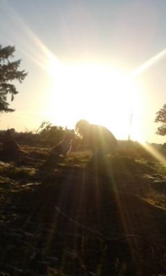 Joeyanyaperfect's profile picture. Fangirling hardy about the youtube gang!! Joey is to hot to handle with that beard and Sawyer aye aye aye... check out my fanfic btw!! http://t.co/No235e7xVm