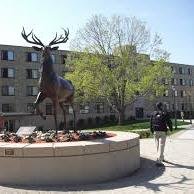 FU_Gonzaga's profile picture. Gonzaga Hall 2016-2017!