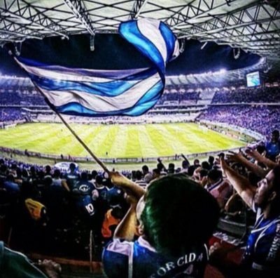 Bicampeão da Libertadores, Tetracampeão da Copa do Brasil, Tetracampeão brasileiro, campeão da Triplice Coroa. Mais de 8 milhões de cruzeirenses de sangue azul.