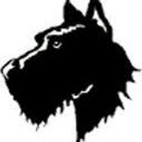 Tri-Valley HS (@tvdawgs) 's Twitter Profile