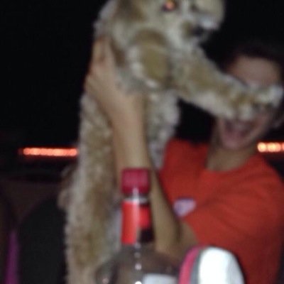 snugasabug12's profile picture. good bitch by day, bad bitch by night