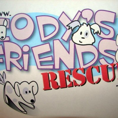Cody's Friends Rescue is non-profit (501c3) all breed dog rescue in Dallas, TX. Find us at https://t.co/h3Hp1SGPfZ and info@codysfriendsrescue.com