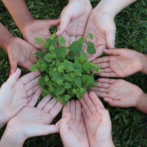 IHF strives to produce high quality hops for the beer brewing industry, while exploring new markets such as teas and pharmaceuticals.