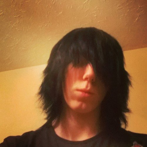 I'm emo, I love heavy rock music, I also love skateboarding ,playing the electric guitar, my dream is to be in a rock band!!