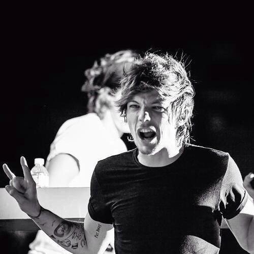 Danielle_xooox's profile picture. minha mãe disse o seguinte ou você para de falar nessa tal de one direction ou eu te expulso de casa e olha tem internet aqui debaixo da ponte