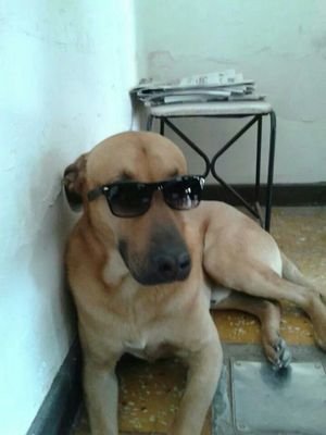 VivianaVm89's profile picture. 