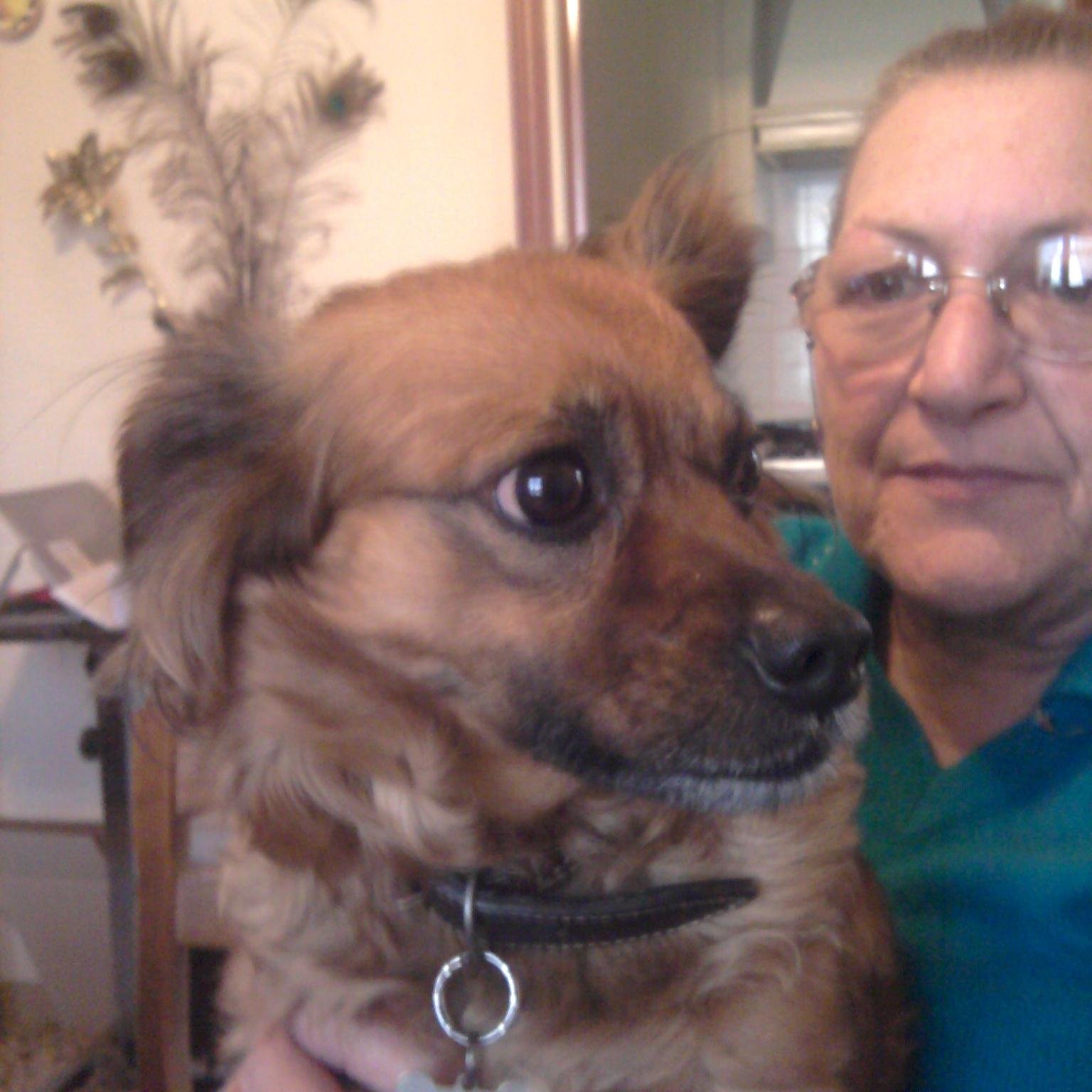 29nikla's profile picture. 