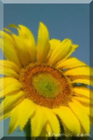 maja_0001's profile picture. 