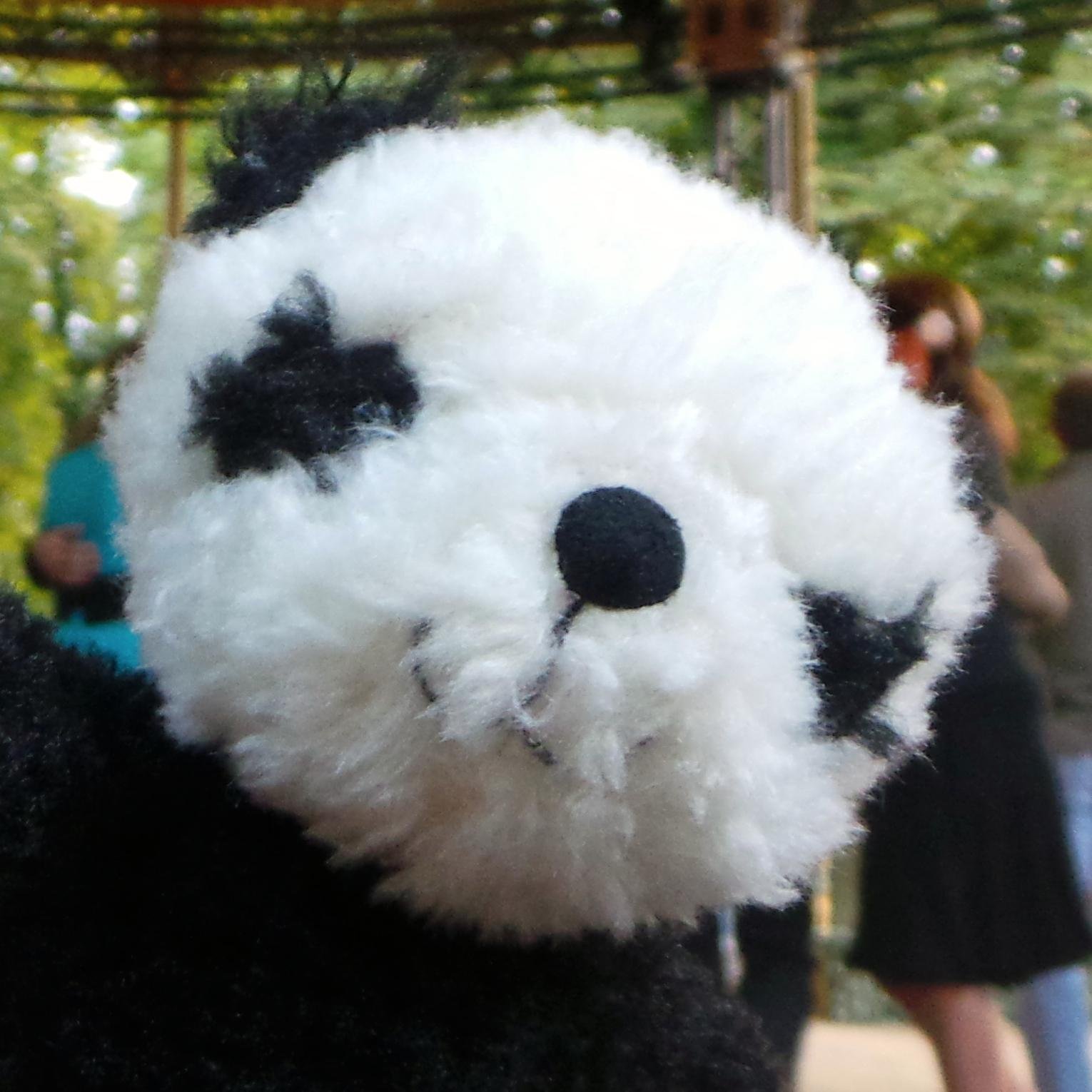I used to be just a panda. Cute and clumsy. Now I'm a smooth tango dancing freelance journalist in the expandable world of #tango.