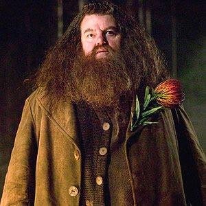 Guardián de las llaves y terrenos de Hogwarts y profesor de Cuidado de Criaturas Mágicas. De huesos anchos. ¡FANG, QUIETO!. #ADEIC