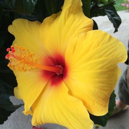 Mywritingworld's profile picture. Writing words is my business, passionate to learn & spread wisdom & knowledge