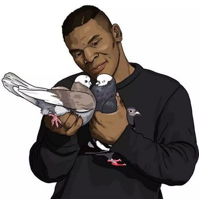 elmerochingon49's profile picture. 