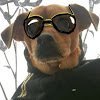 Twitter dedicado a los q nos gusta Freakandor, youtuber pequeño pero muy divertido y atento. Tambien somos fans de Vegetta777 y Willyrex