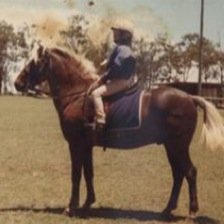 Horse riding lessons/trail rides through the rain forest right here on the Gold Coast.  Riders can experience fun, safe one on one coaching.