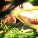 Loretta Martin - @eLLesaintj - Twitter