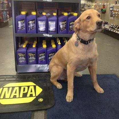 NapaLivonia's profile picture. 