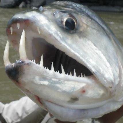 Enfermos por la pesca!!