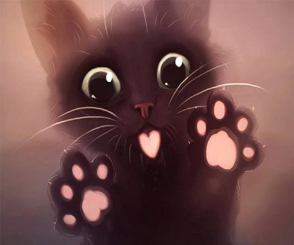 lil bitch kitty boppin' around with snark & love. 💕♐♑♐🇨🇦🤘