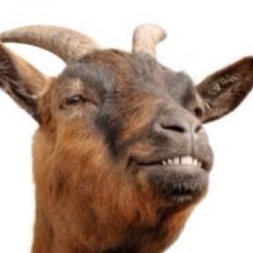 _stephaniephoto's profile picture. 