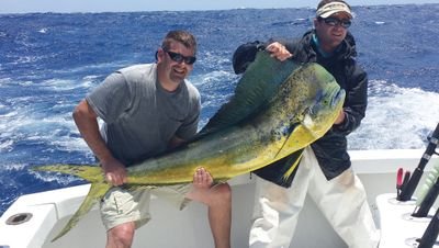 zimmy997's profile picture. 