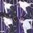Eunxhyuk86's profile image