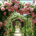 sohad al grady - @maya_soso - Twitter