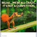 Pam Calvert - @calvert_pam - Twitter