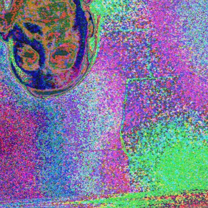 julesmlan's profile picture. Optimist, Learner, Educator