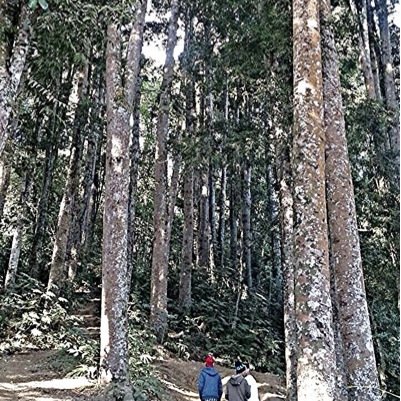 Agungindrawira's profile picture. phn :08970854667 Ig : indrawirakusuma line : indrawira123 Path : indrawira