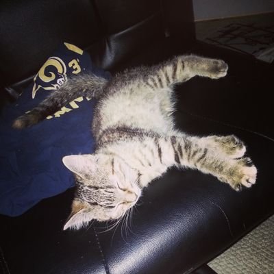 UnholySpire's profile picture. 28 yr old fool with a life to live