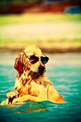 mhernandezga's profile picture. Disfrutando y aprendiendo del camino.