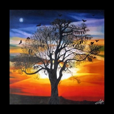 Allen70E's profile picture. 