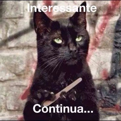 ERondanin's profile picture. 