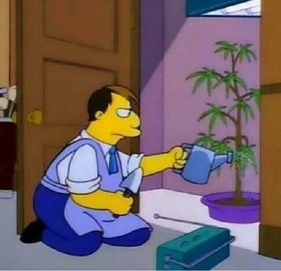 AlwayzGrindN_'s profile picture. Organic Everything. 
#TKIL