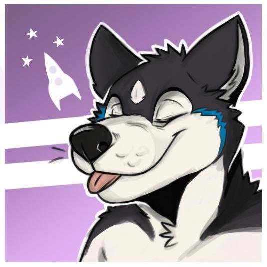 Abe - abedog.bsky.social