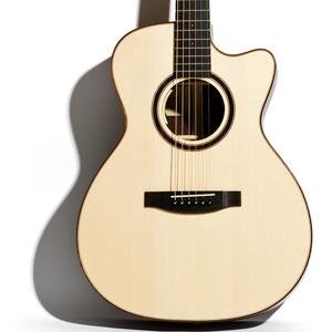 Guitarist